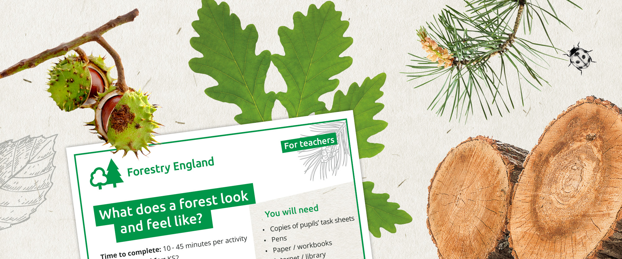 how-a-forest-looks-and-feels-pre-visit-resource-forestry-england